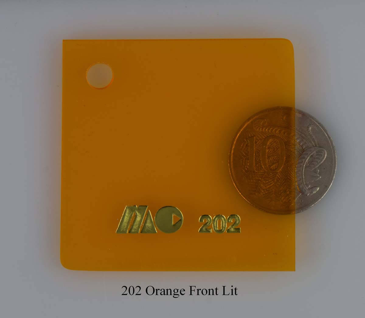 202 Orange Front Lit