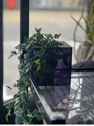 shop displays