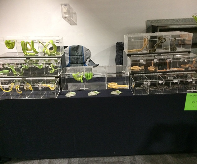 Customised Programming / Drawings