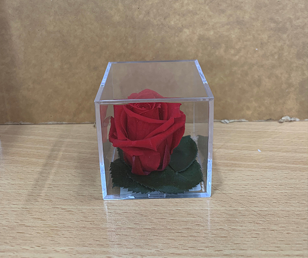 Customised Programming / Drawings